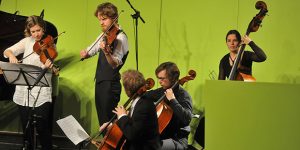 Streichquartettfest Heidelberg