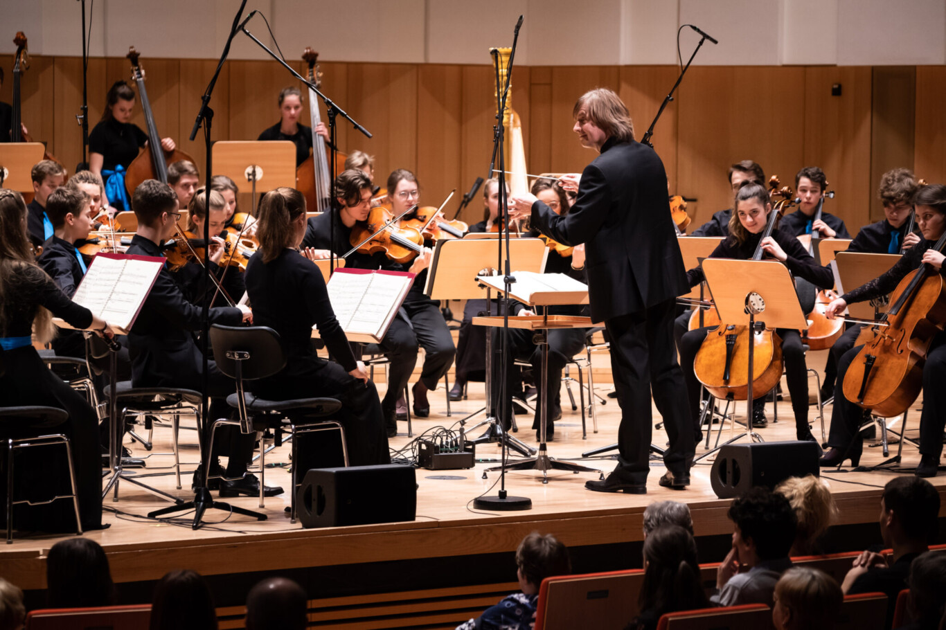 Deutsche Streicherphilharmonie mit Wolfgang Hentrich