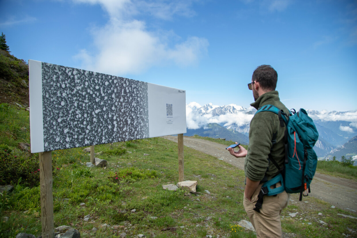 Bei einem Sound Walk verschmelzen Musik und Natur ineinander