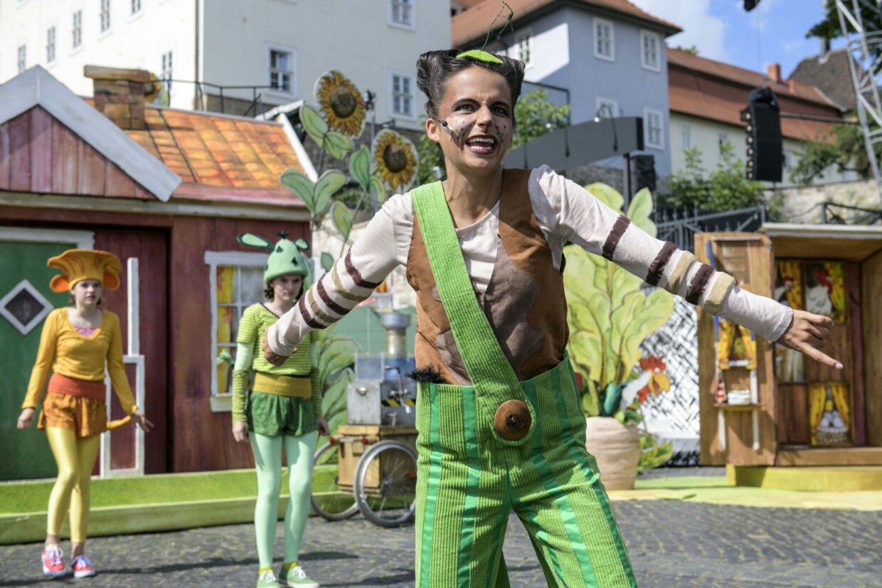 Kater Findus liebt das Leben bei Pettersson auf dem Hof