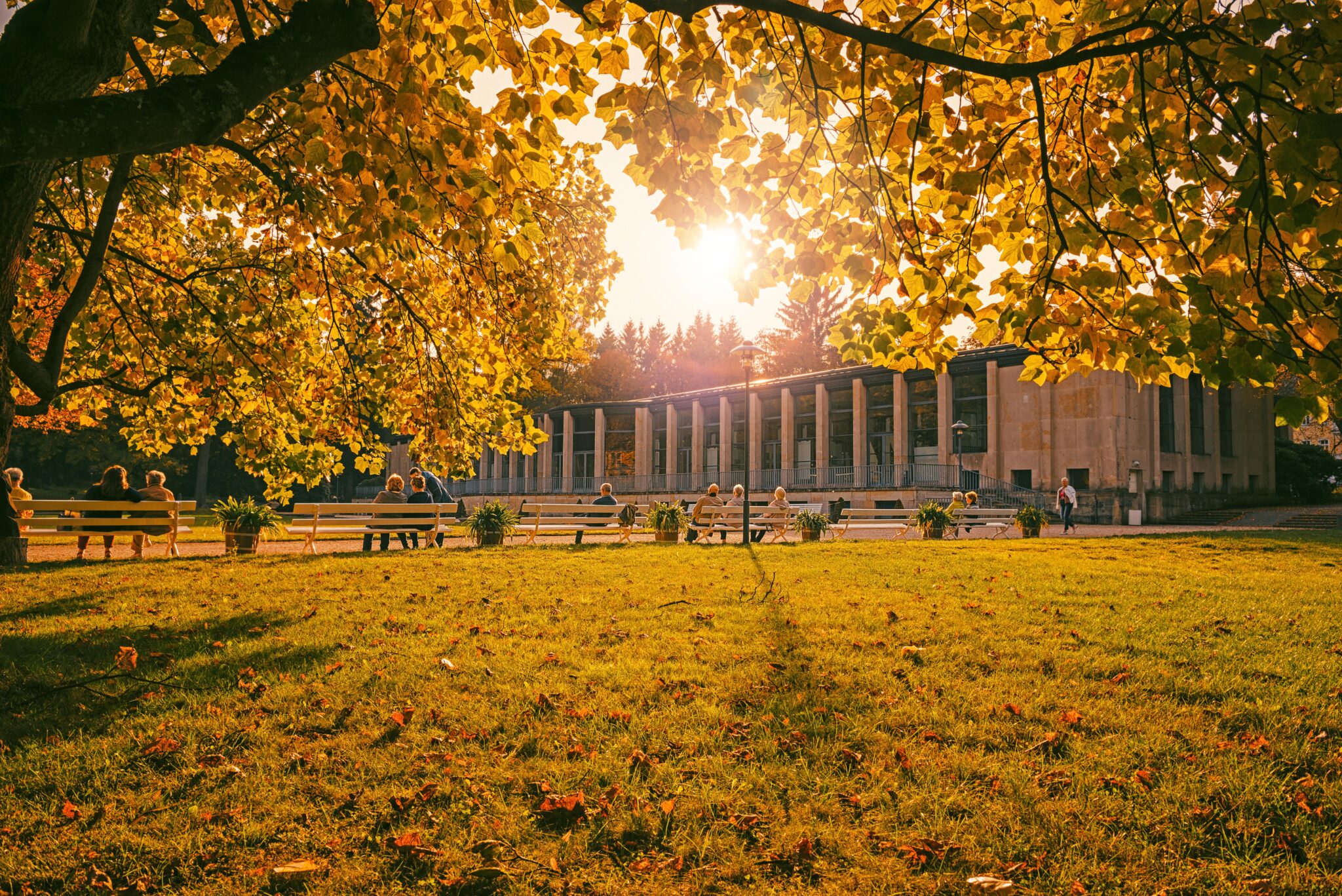 Goldener Herbst an der KunstWandelhalle Bad Elster