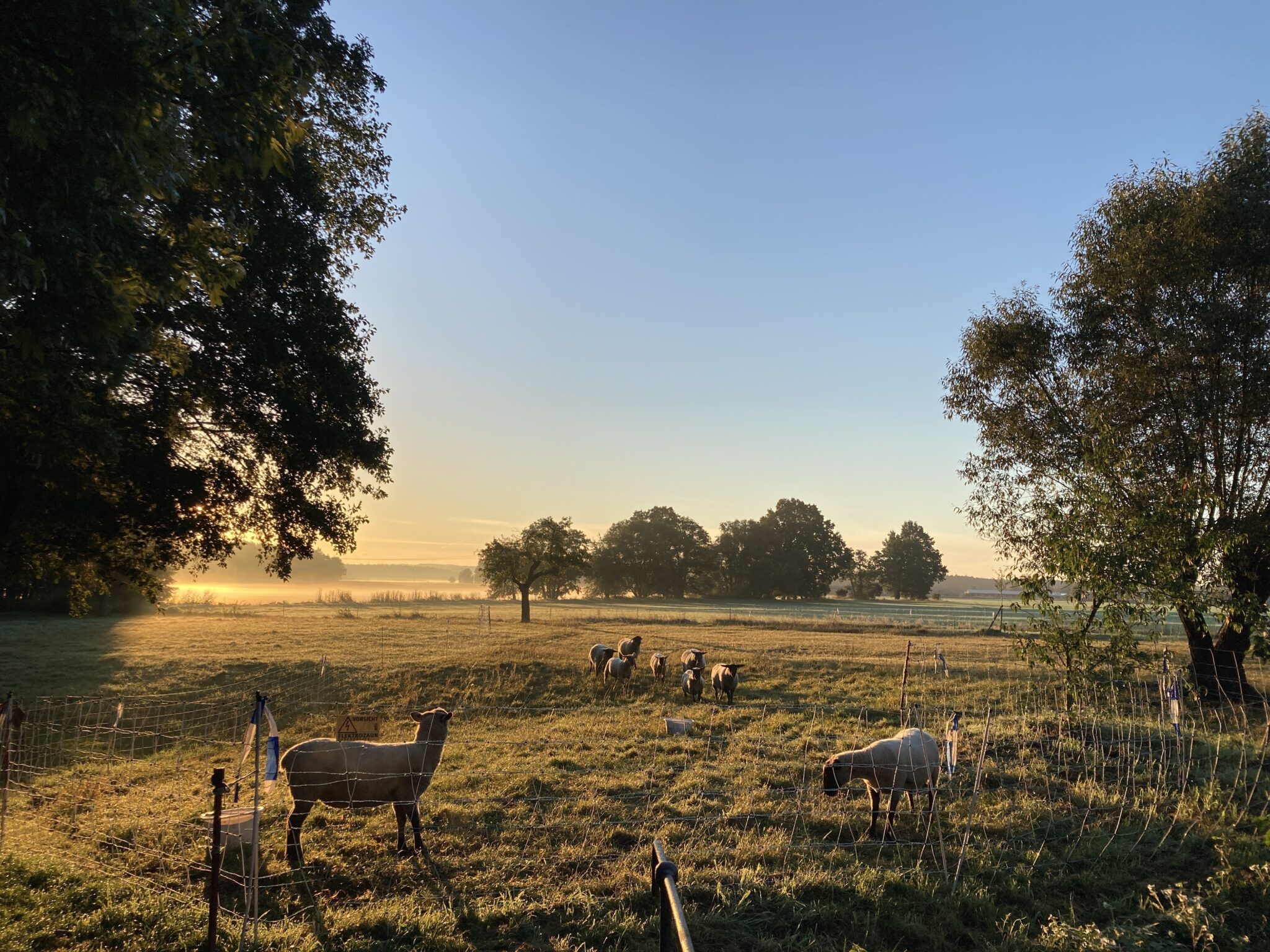 Morgenstimmung in der Niederlausitz. Das Festival diskutiert auch den Klimawandel in der Region