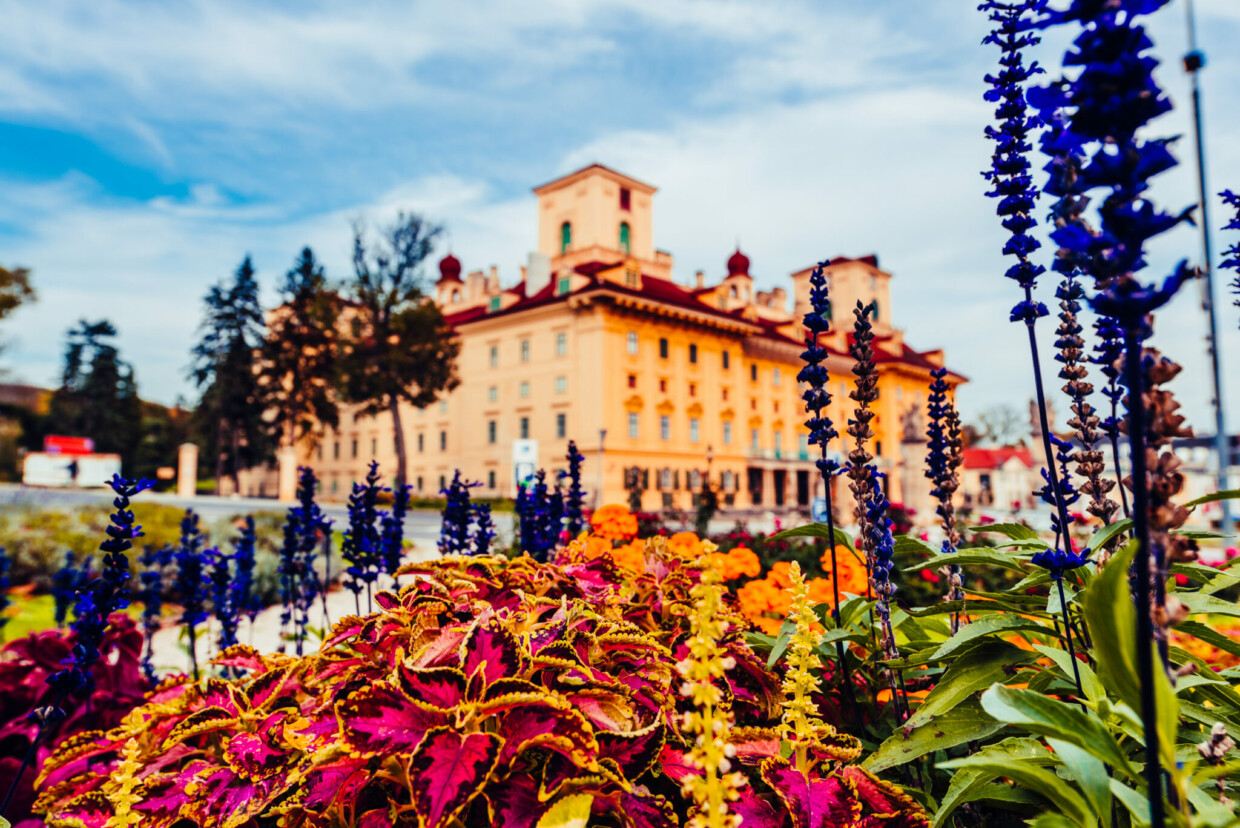 Schloss Esterházy